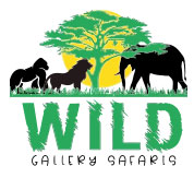Wild Gallery Safaris